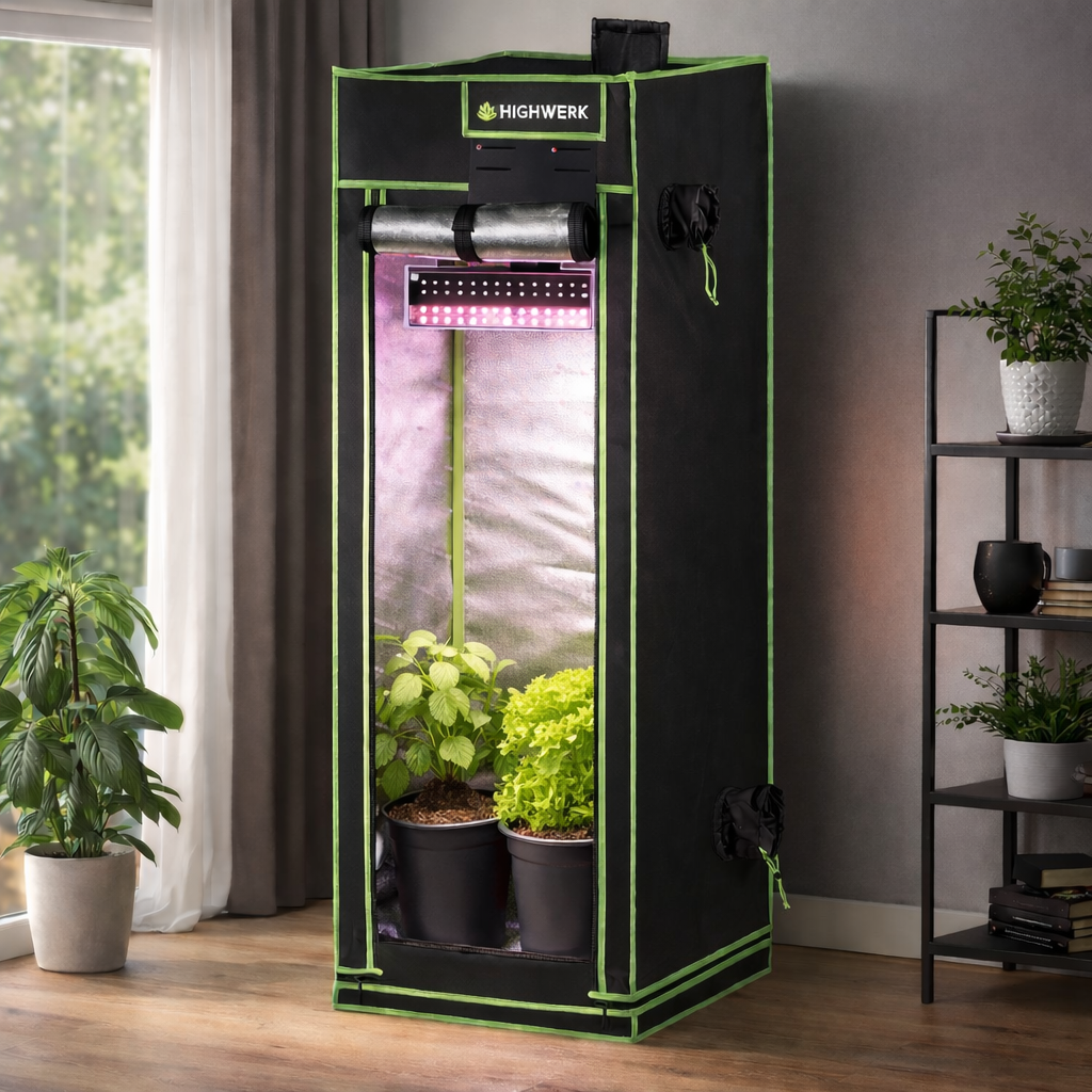 Indoor Growing für Anfänger – Schritt-für-Schritt erklärt