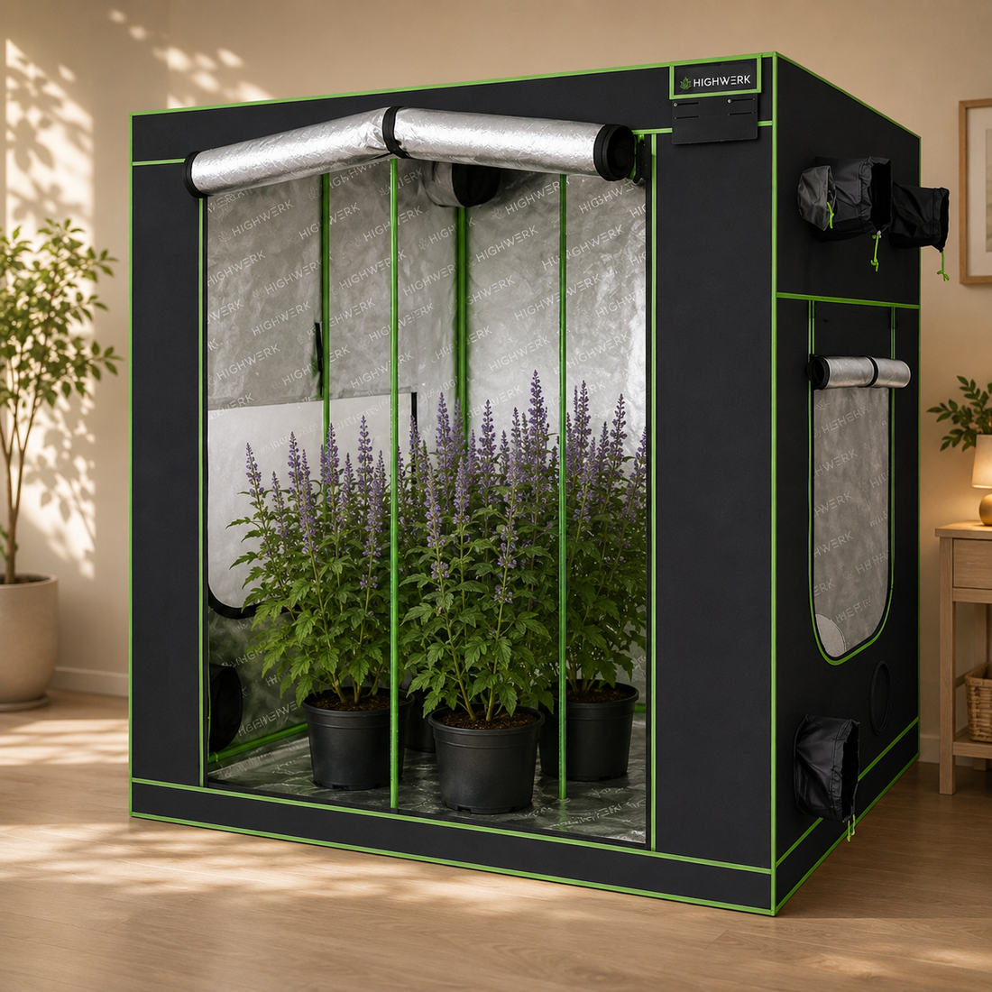 Indoor Aufzuchtzelt Vergleich – Welches Zuchtzelt passt zu dir?