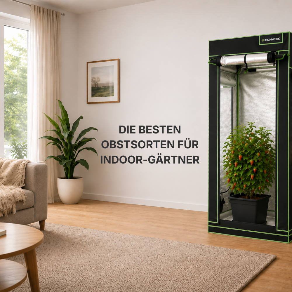 Die besten Obstsorten für Indoor-Gärtner: Frische Ernte das ganze Jahr